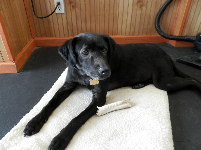 Acum Adam e sănătos şi poate sta în preajma oamenilor