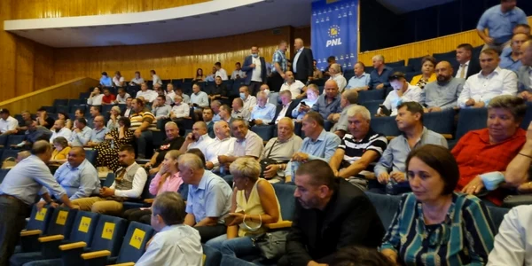 alegeri pnl alba