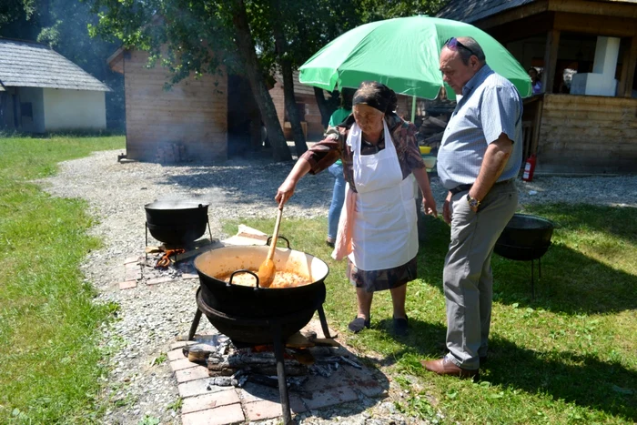 targul de tara muzeul astra