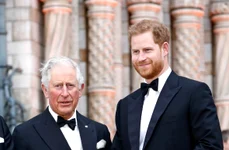 Charles și Harry, Getty (2) jpg