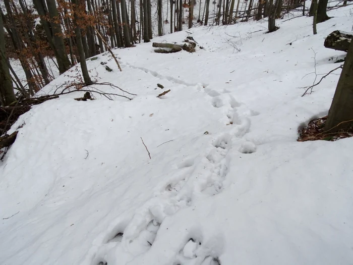 FOTO Raluca Bălăşoiu  de la Parcul Natural Porţile de Fier