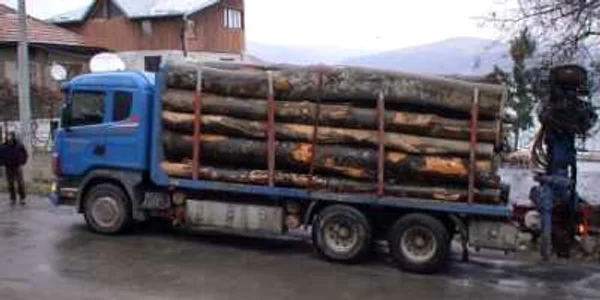 De cele mai multe ori, lemnul furat este descoperit în trafic