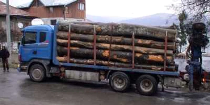 De cele mai multe ori, lemnul furat este descoperit în trafic