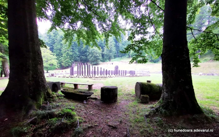 Fagii din Sarmizegetusa Regia. Foto: Daniel Guță. ADEVĂRUL