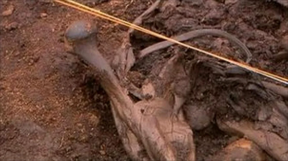 Arheologii au descoperit o nouă victimă a unui sacrificiu ritual jpeg