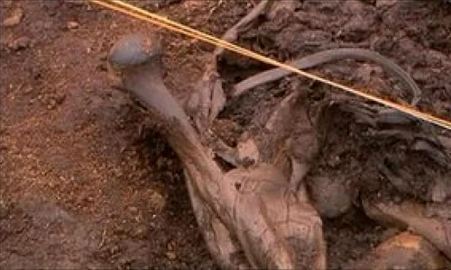 Arheologii au descoperit o nouă victimă a unui sacrificiu ritual jpeg