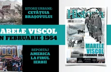 deschidere site februarie 265 png