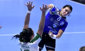 neagu cristina csmb rps8612 jpeg