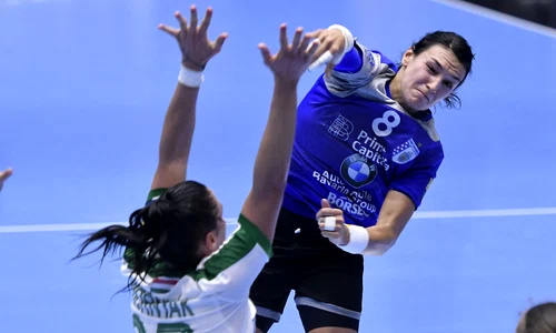 neagu cristina csmb rps8612 jpeg