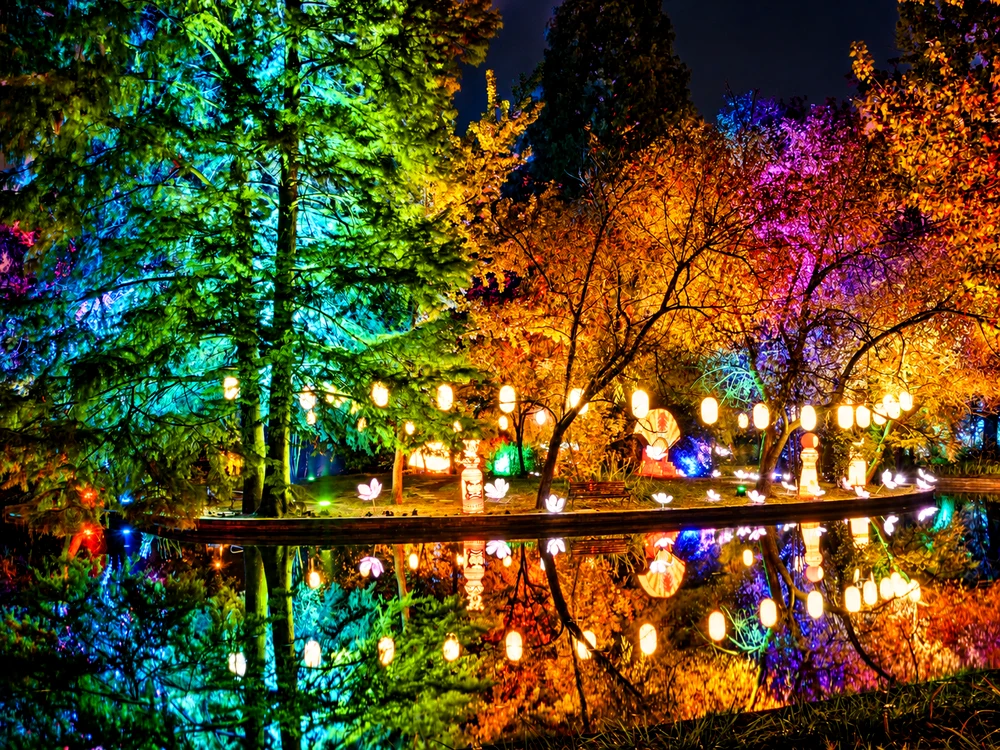 Illuminated Lantern Garden Reflections png