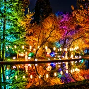Illuminated Lantern Garden Reflections png