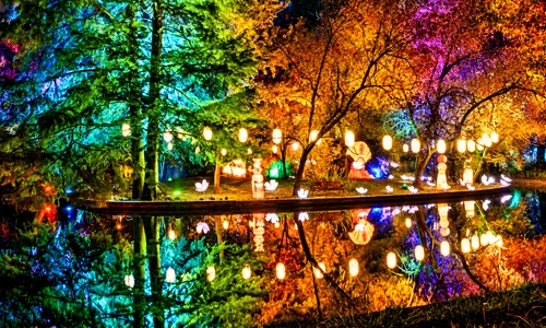 Illuminated Lantern Garden Reflections png