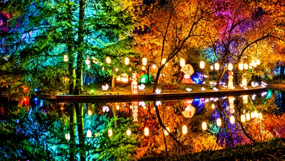 Illuminated Lantern Garden Reflections png