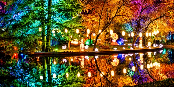 Illuminated Lantern Garden Reflections png