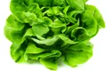 salata verde jpeg