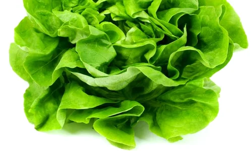 salata verde jpeg