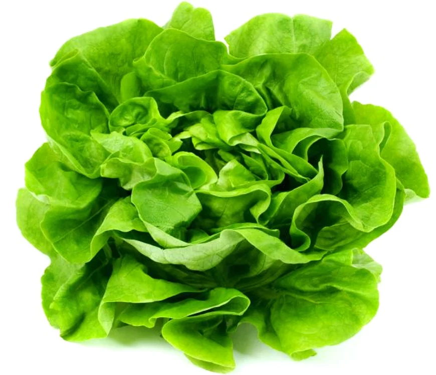 salata verde jpeg