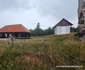 Drumul Cerbăl Feregi din Poiana Răchițelii Foto Daniel Guță ADEVĂRUL (14) jpg