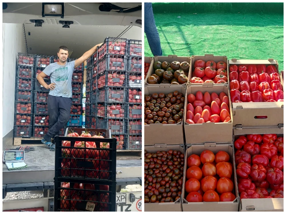 Fermierul vinde în sistem en-gros, pentru că este prea mult de lucru în fermă   FOTO: arhiva fermier