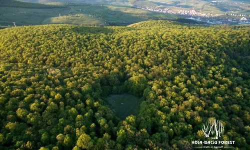 În mijlocul pădurii este ”Poiana Rotundă” crește doar iarbă jpeg