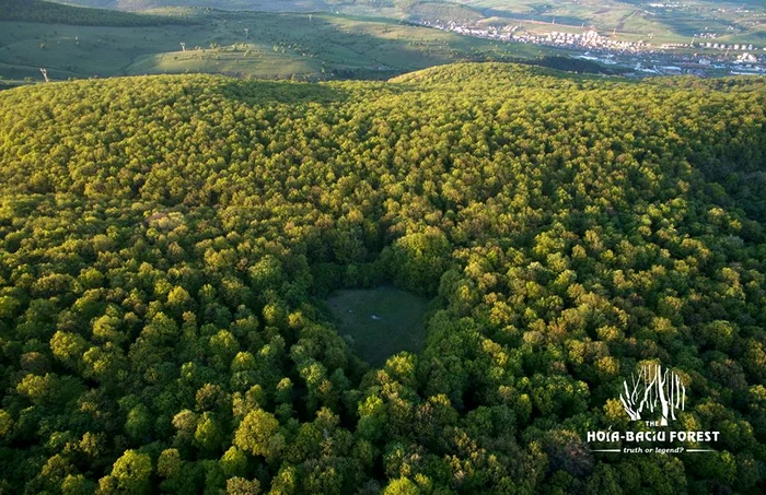 În mijlocul pădurii este ”Poiana Rotundă” crește doar iarbă