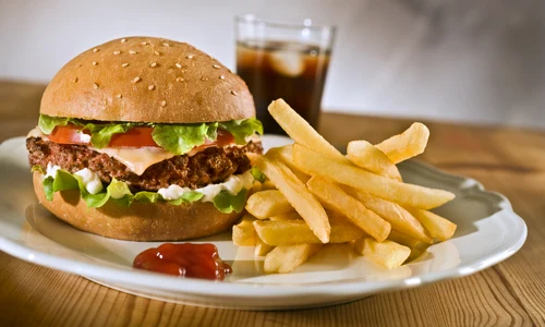 fast food hamburger sandvis cartofi prajiti 3 7 2009 7 06 41 pm 4256x2832 jpeg