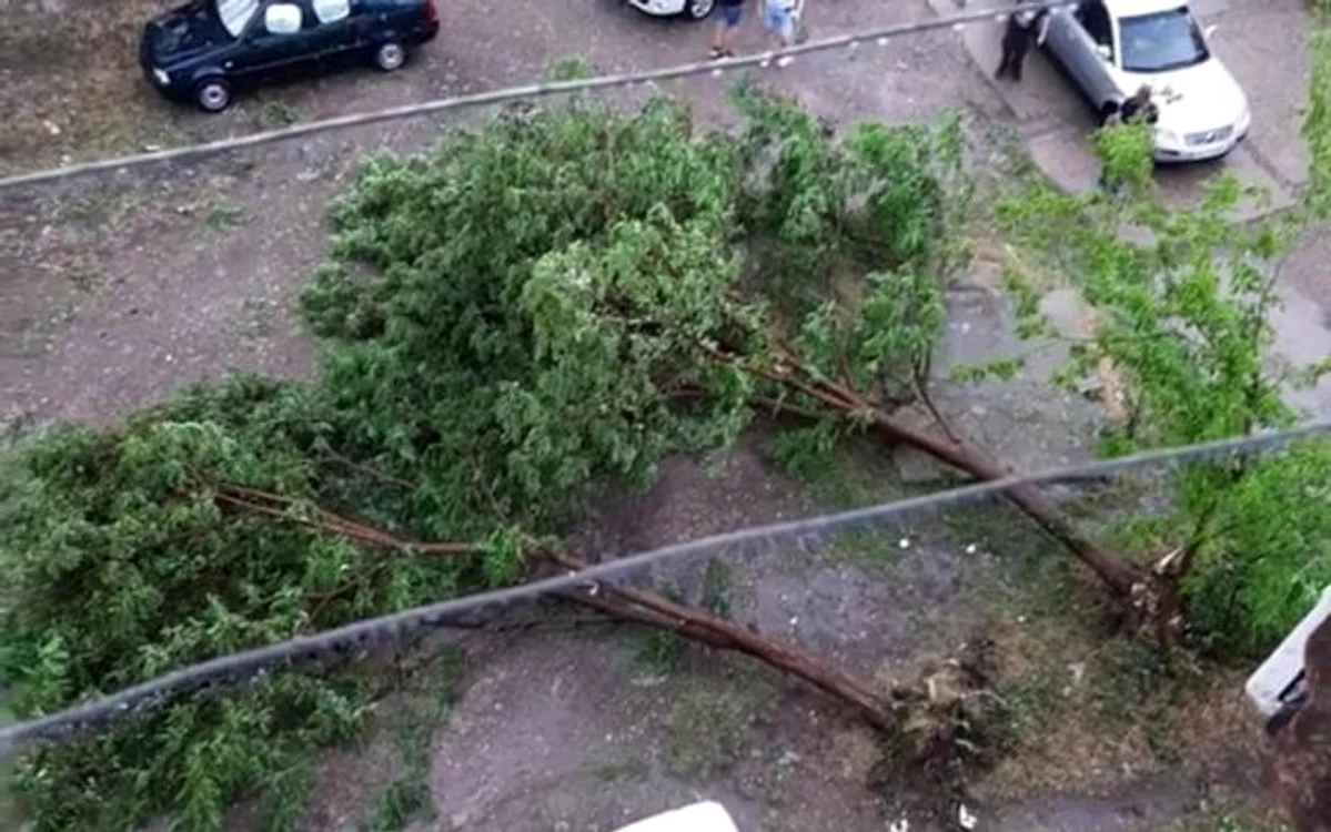 Galati pomi cazuti FOTO Meteoplus