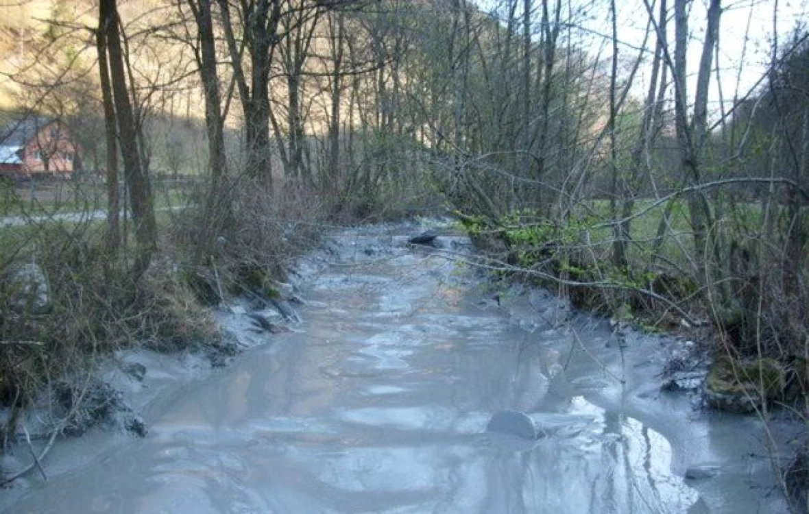 Sterilul toxic a curs pe Valea Şesii până în Arieş. Foto: Teodor Baic