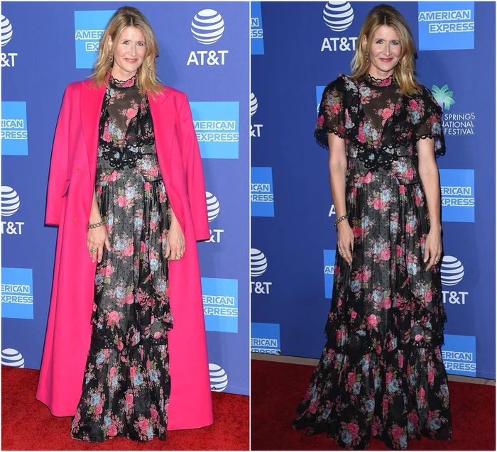 7 laura dern festivalul palm springs 2019 jpg jpeg