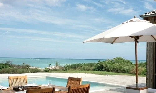 parrot cay caraibe 3 jpeg
