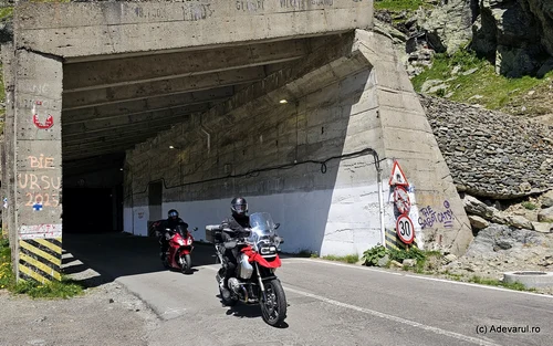 Transfăgărășan  Foto Daniel Guță ADEVĂRUL (98) jpg