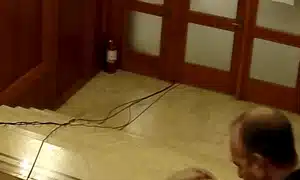 gif gif