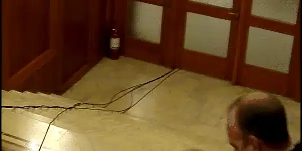 gif gif