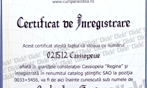 Nicoleta Luciu a fost răsfăţată  de ziua ei de soţ şi apropiaţi   Cel mai inedit cadou primit: o  stea care i va purta numele jpeg