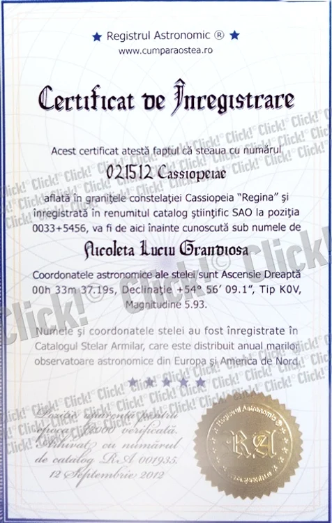 Nicoleta Luciu a fost răsfăţată  de ziua ei de soţ şi apropiaţi.  Cel mai inedit cadou primit: o  stea care-i va purta numele