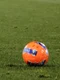 Minge Serie A (EPA) jpg