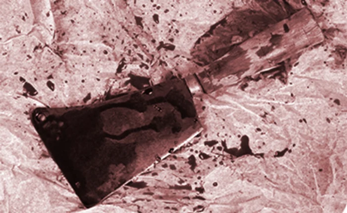 
    L-a lovit cu toporul în cap până l-a omorât  