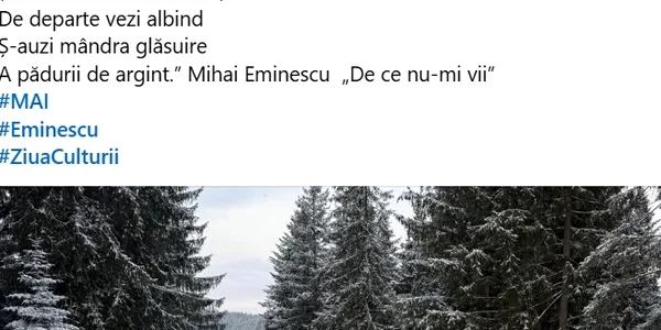 eminescu1 (1) jpg