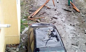 ORADEA  Pompierii au  intervenit pentru a  elibera şoselele de  copacii căzuţi jpeg