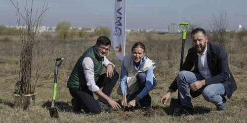 plantare copaci omv petrom foto octav ganea