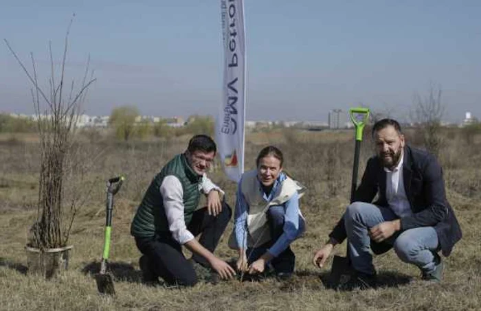 plantare copaci omv petrom foto octav ganea