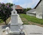 Baia de Criș, Hunedoara, Foto Daniel Guță, ADEVĂRUL (8) 001 jpg