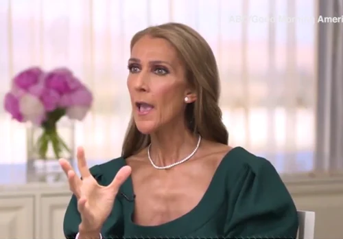 2 celine dion png png