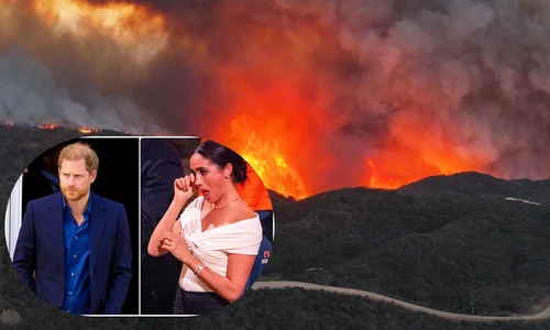 Incendiu în Los Angeles, Profimedia (2) (1) jpg