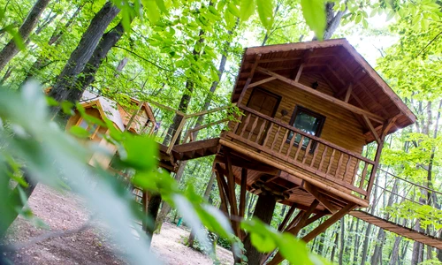 1 58961 original jpg jpeg