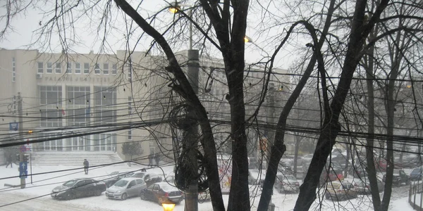 iarna braila