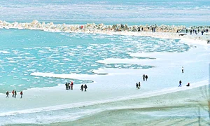 CLIIMA20100127 0241 1 jpeg