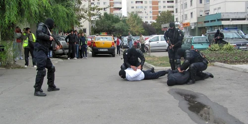 Jandarmii teleormăneni în acţiune