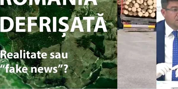 defrisari