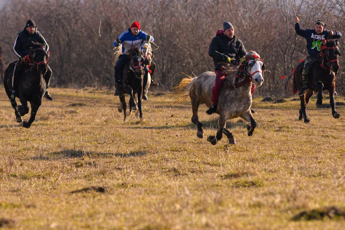 Cultura se redefinește prin dialog, adaptare și reflecție. FOTO: Mediafax / Alexandru Dobre
